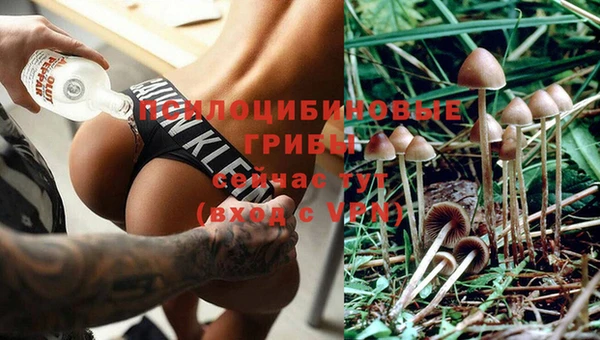 марки lsd Няндома