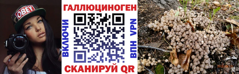 Псилоцибиновые грибы ЛСД  Ростов-на-Дону 