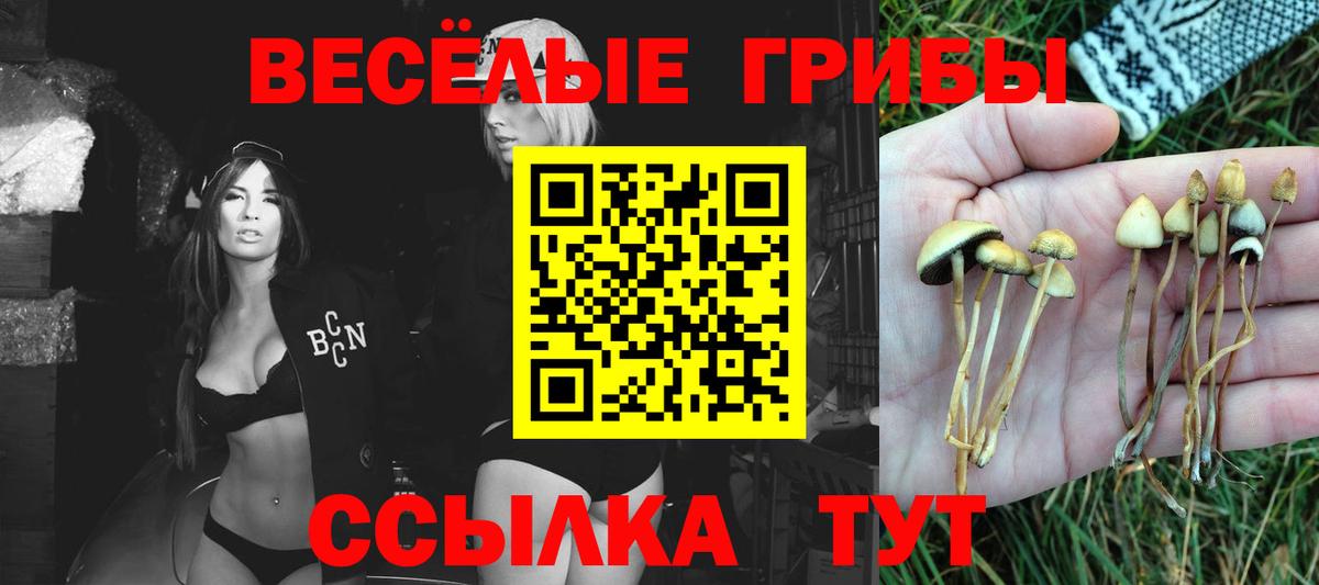 Ростов-на-Дону  где найти наркотики  Вход с VPN  Псилоцибиновые грибы Psilocybine cubensis 