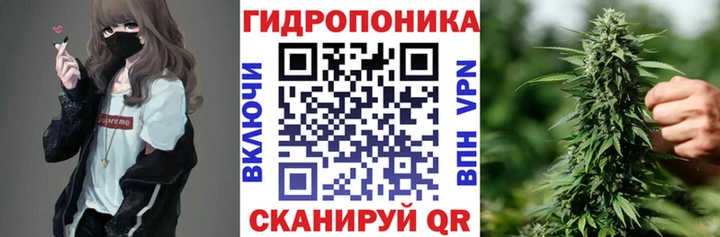 MEGA   Ростов-на-Дону  Бошки Шишки OG Kush  наркотики 